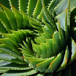 2017-03 New Zealand/Rotorua/DSC_0090.JPG